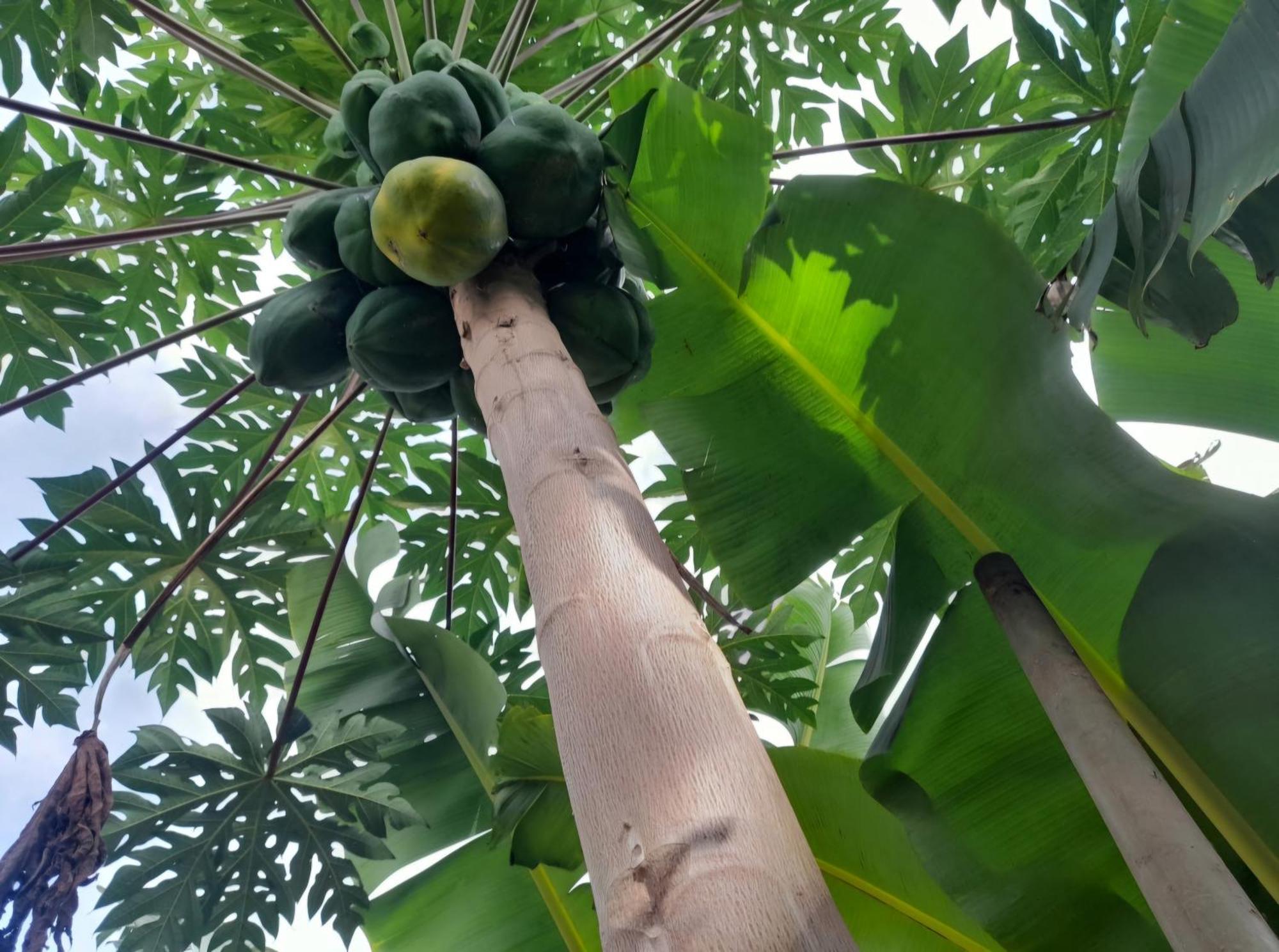 Splanada Poilon Assomada Exterior foto